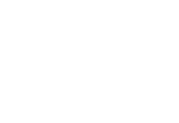 Rio-logo