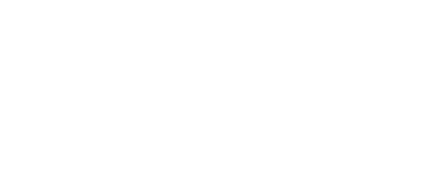 netplay-logo